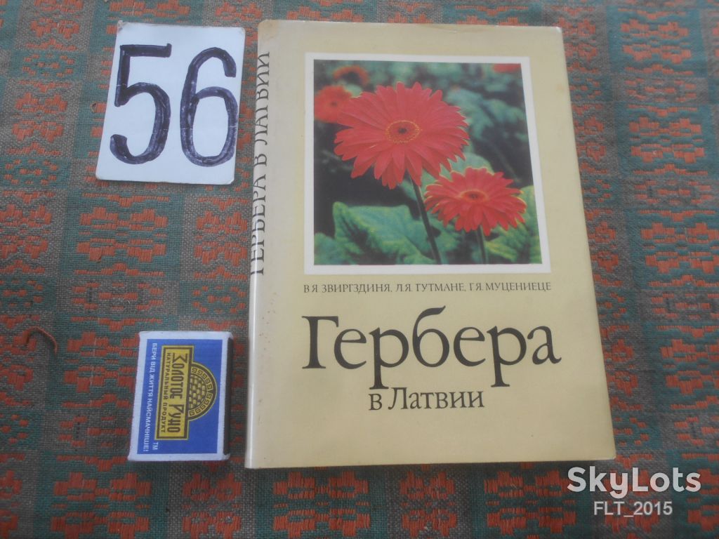 Гербера  в  Латвии    1984 г. - фото фото фото 0