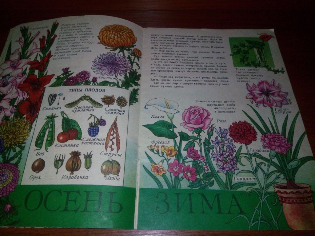 Борис Вовк ЦВЕТЫ  (Книжка-картинка) - фото фото фото 6