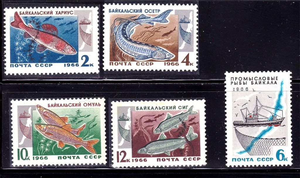 Флот .  СССР 1966 г  MNH  - рыбы - Байкал - - фото фото фото 0