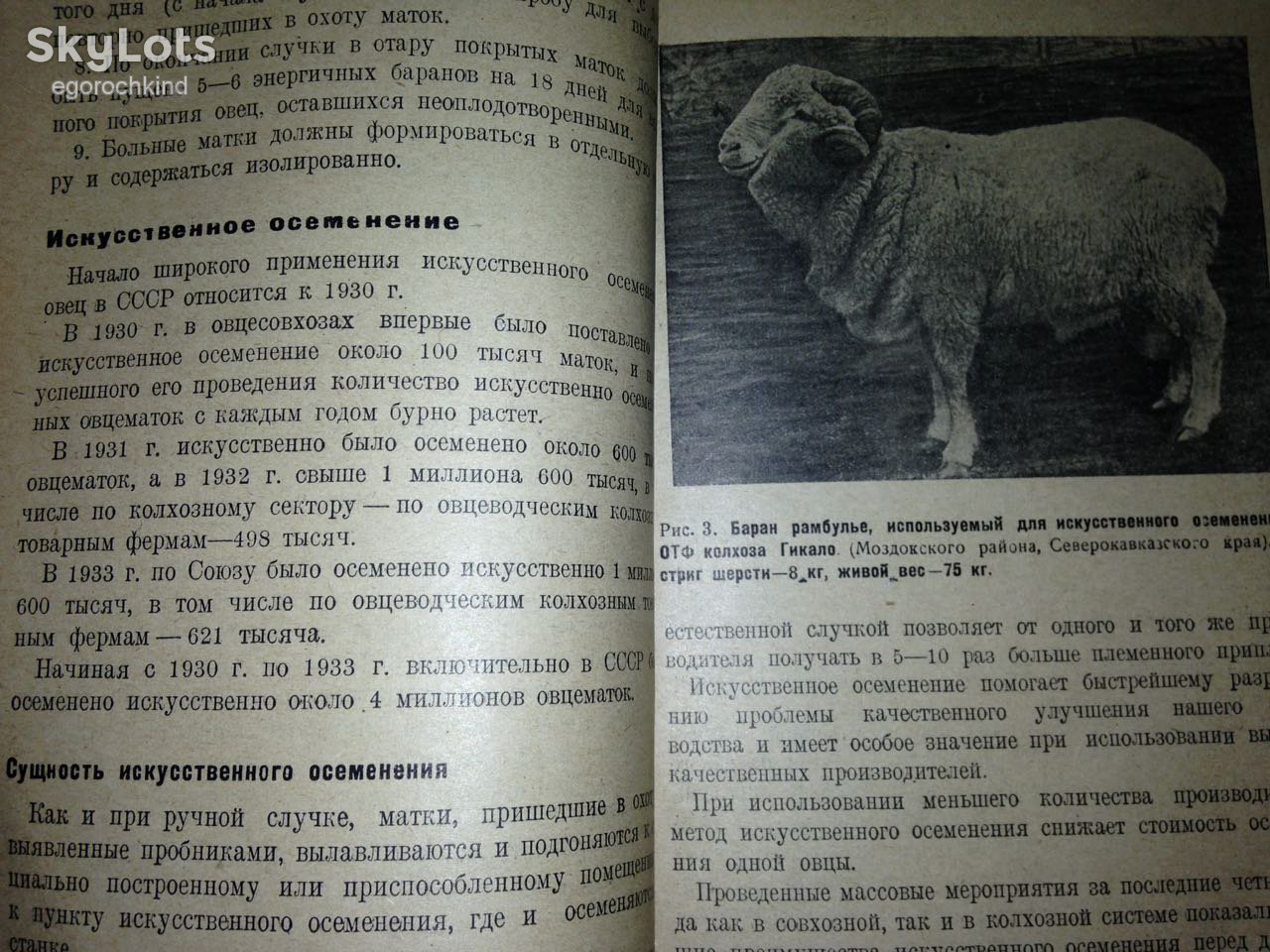 книга: ИСКУССТВЕННОЕ ОСЕМЕНЕНИЕ ОВЕЦ В КОЛХОЗАХ 1934г. - фото фото фото 4