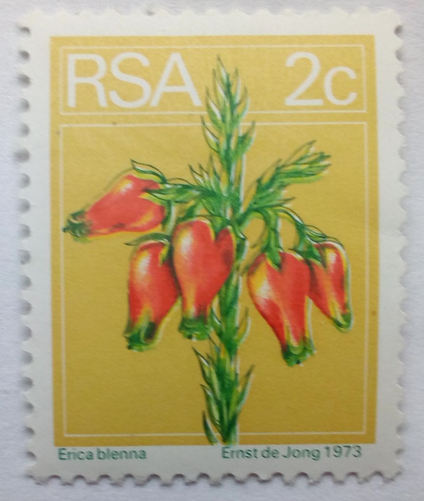 ЮАР 1974 Цветы, флора, 2с., MNH - фото фото фото 0