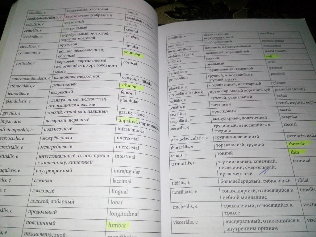 LEXICON terminologiae medicinalis  (Russian/English) - фото фото фото 9