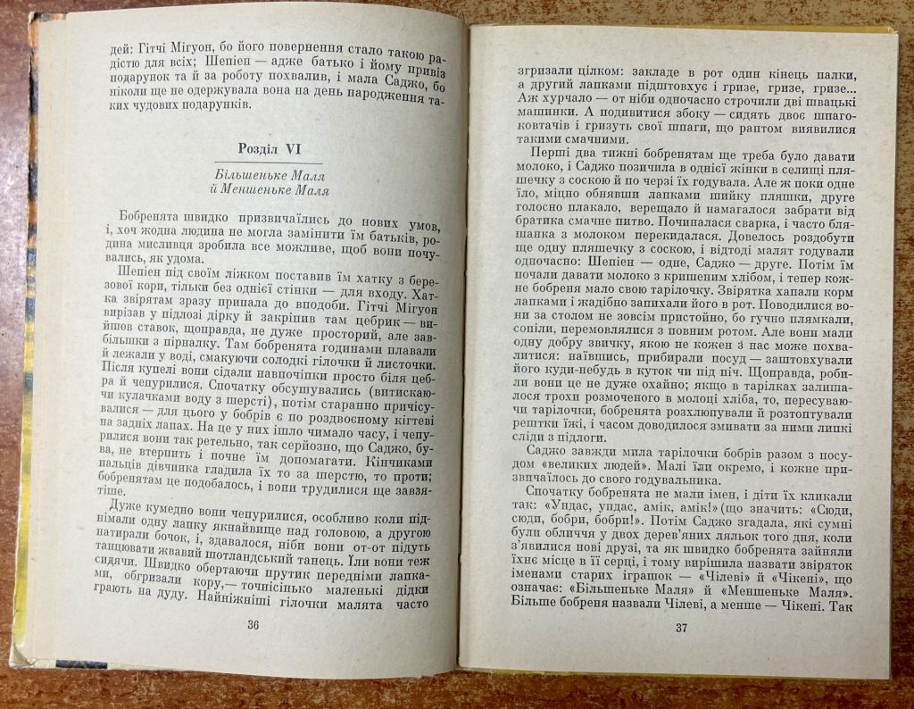 Сіра Сова 1981 р - фото фото фото 8