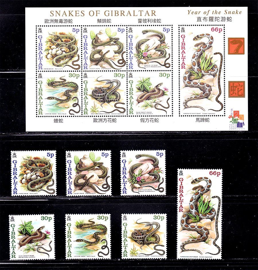 Фауна .  Гибралтар  2001 г   MNH - блок + марки - змеи - фото фото фото 0