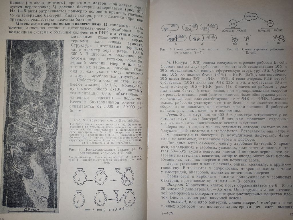 книга: ОСНОВЫ ОБЩЕЙ МИКРОБИОЛОГИИ, ВИРУСОЛОГИИ И ИММУНОЛОГИИ. II-е изд. 1977г. - фото фото фото 6