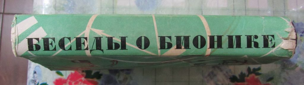 Беседы о бионике - фото фото фото 4