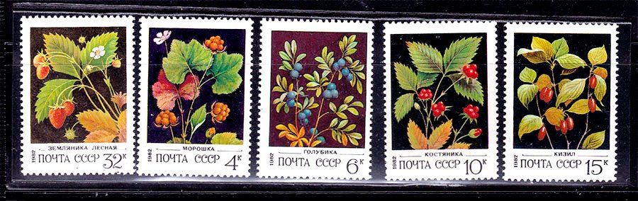 СССР  1982 г   MNH - флора - фото фото фото 0