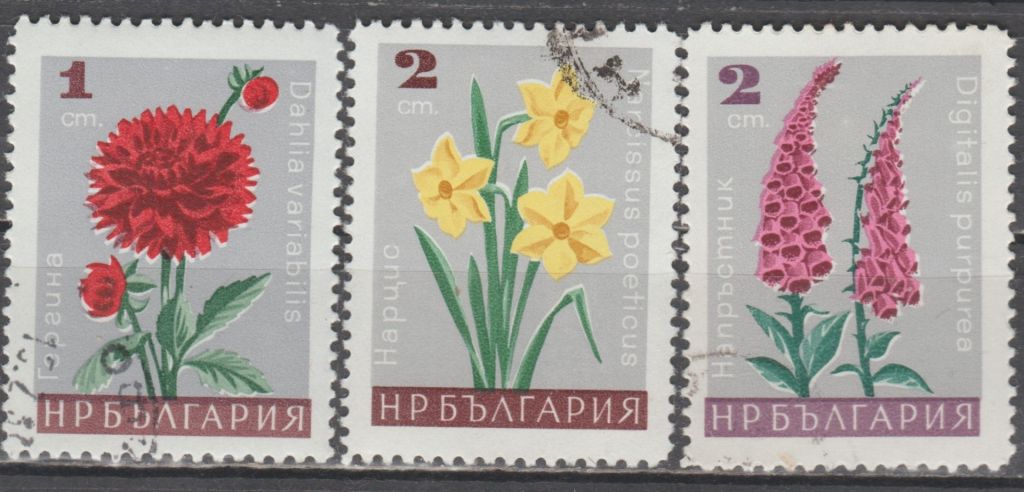 Болгария Болгарія 1966 флора цветы - фото фото фото 0