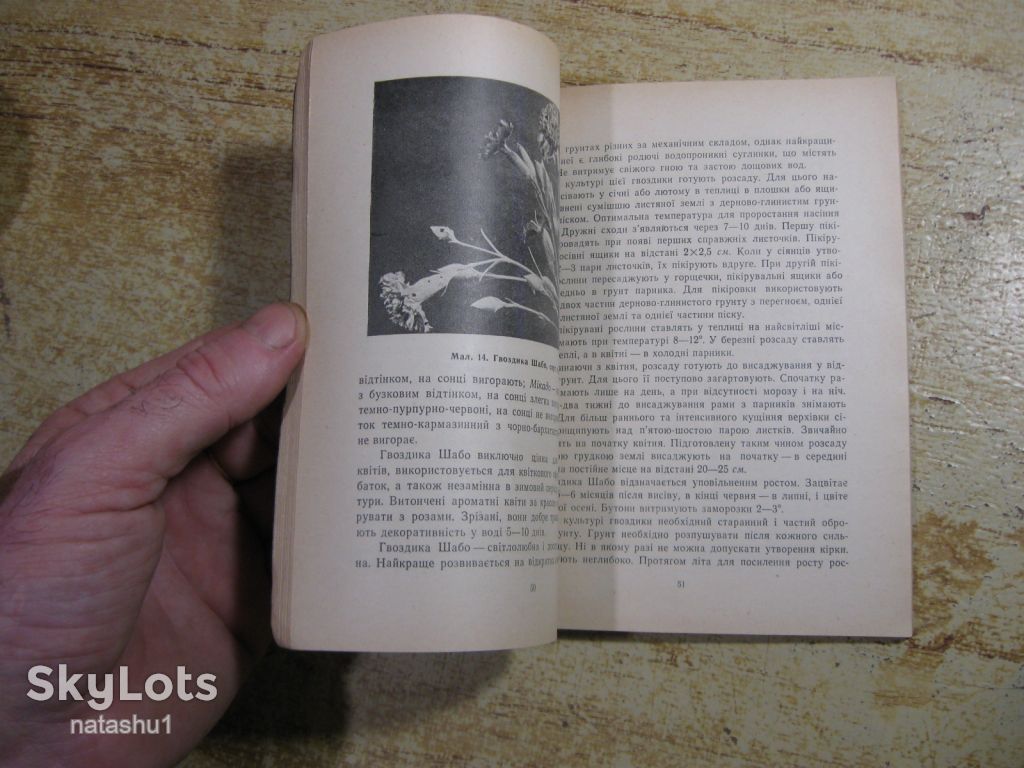 однорічні квіти 1972г - фото фото фото 7