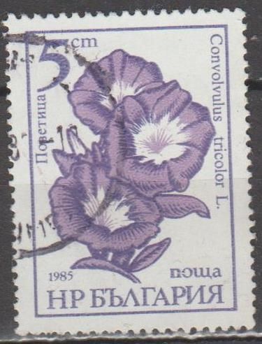 Болгария Болгарія 1985 флора цветы - фото фото фото 0