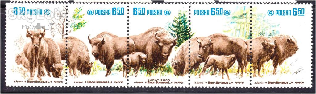 Полша 1981 г  MNH - сцепка - фото фото фото 0