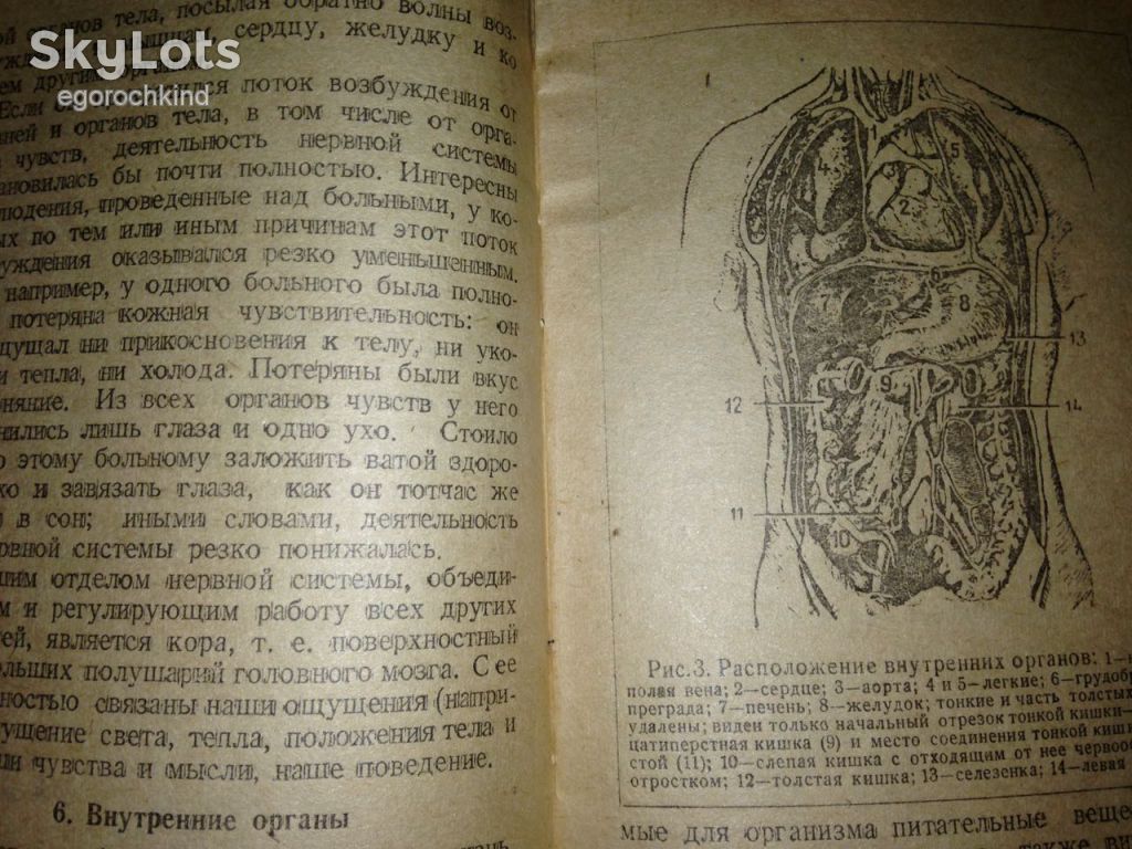 книга: СТРОЕНИЕ ТЕЛА ЧЕЛОВЕКА 1946г.; - фото фото фото 5