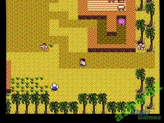 Игра на NES "StarTropics"    (PAL B) - фото фото фото 3