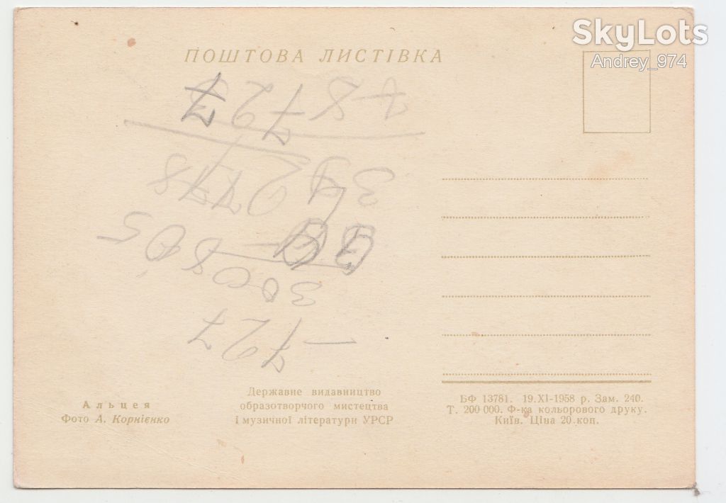 Альцея 1958 Корниенко Р8 - фото фото фото 1