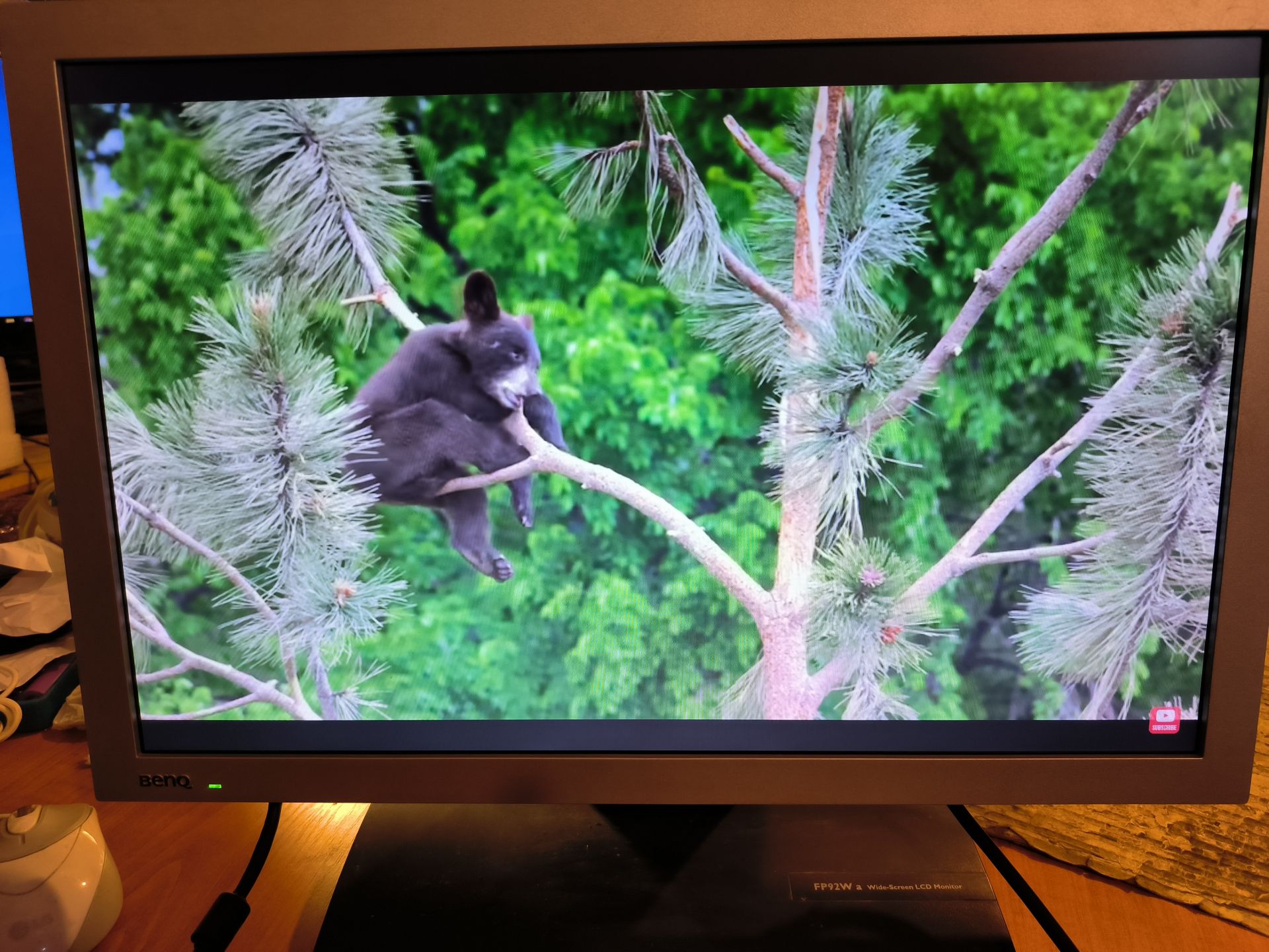 Монитор Benq FP92W , LED, широкоформатный - фото фото фото 4