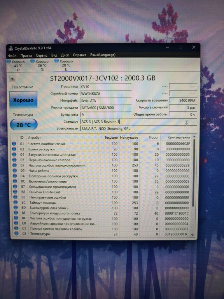 АБСОЛЮТНО НОВИЙ Жорсткий диск Seagate Skyhawk 2TB ST2000VX017 - фото фото фото 3