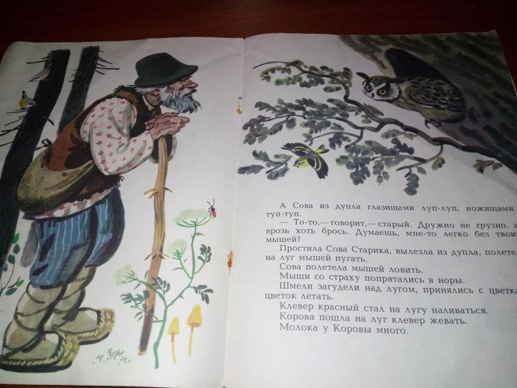 Бианки СОВА - фото фото фото 4