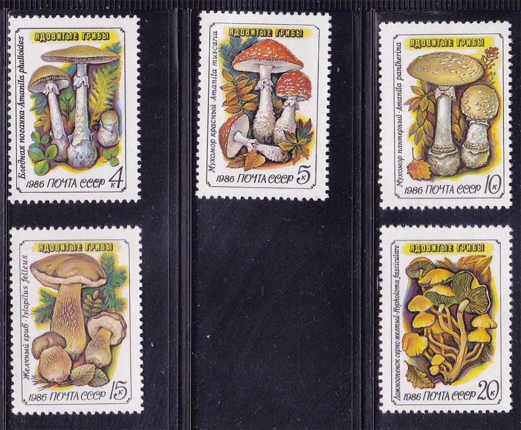 СССР  1986 г   MNH - грибы - фото фото фото 0