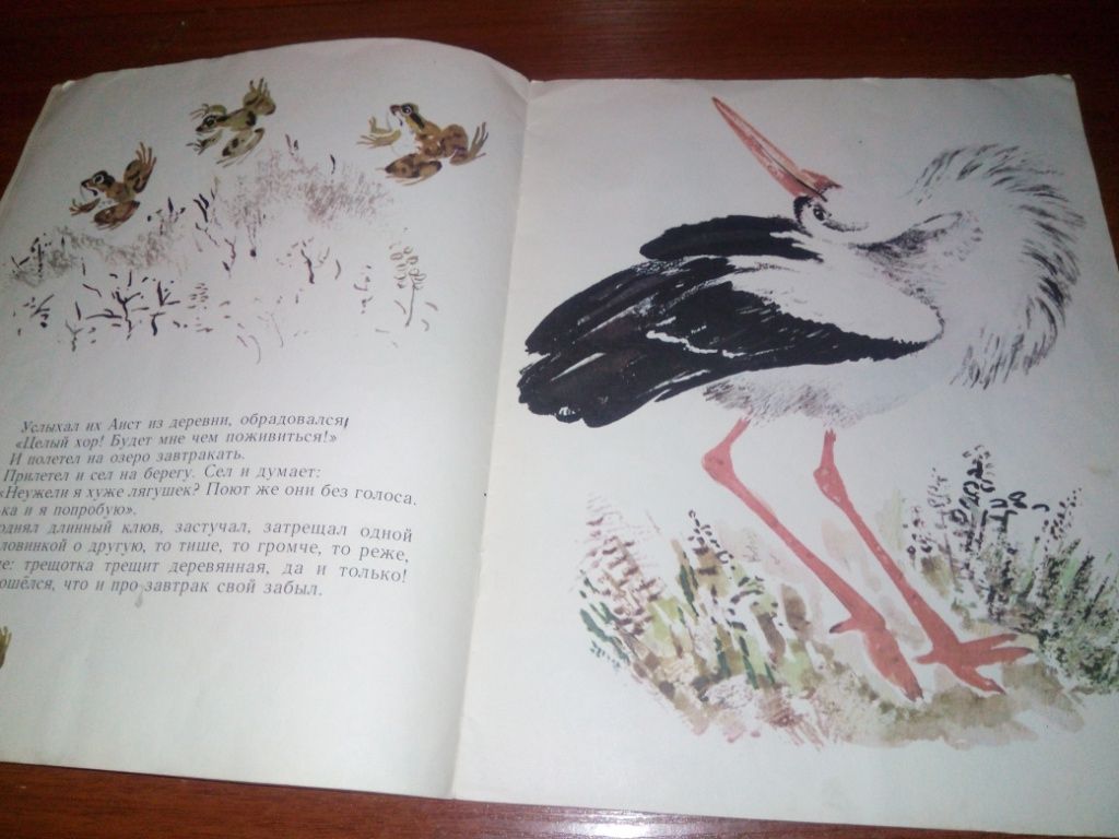Виталий Бианки КТО ЧЕМ ПОЁТ  (Рисунки Н. Чарушина) - фото фото фото 4