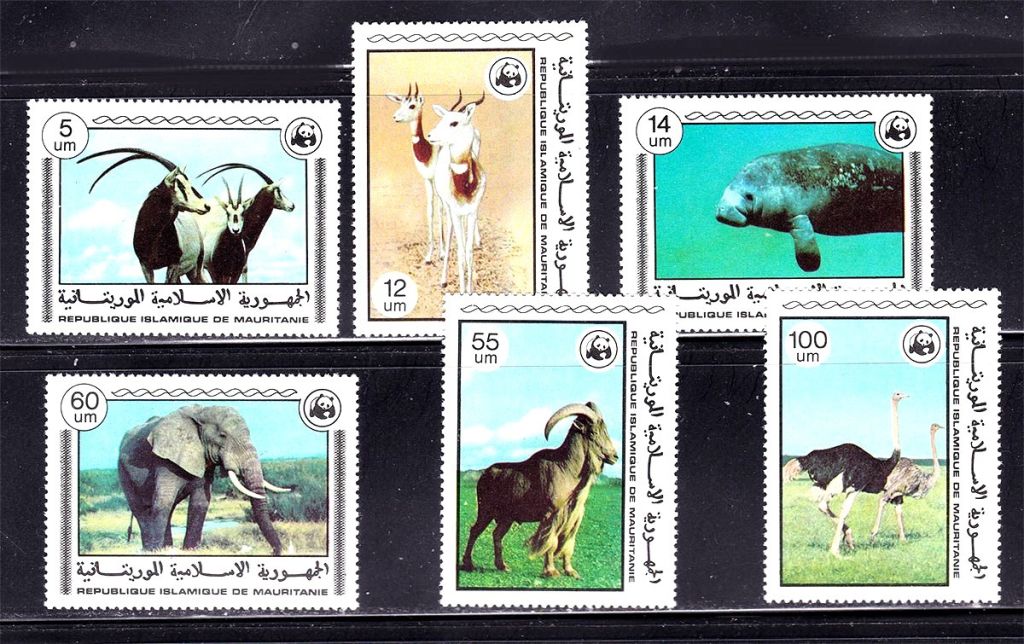 Фауна . Мавритания 1978 г ** - WWF - - фото фото фото 0