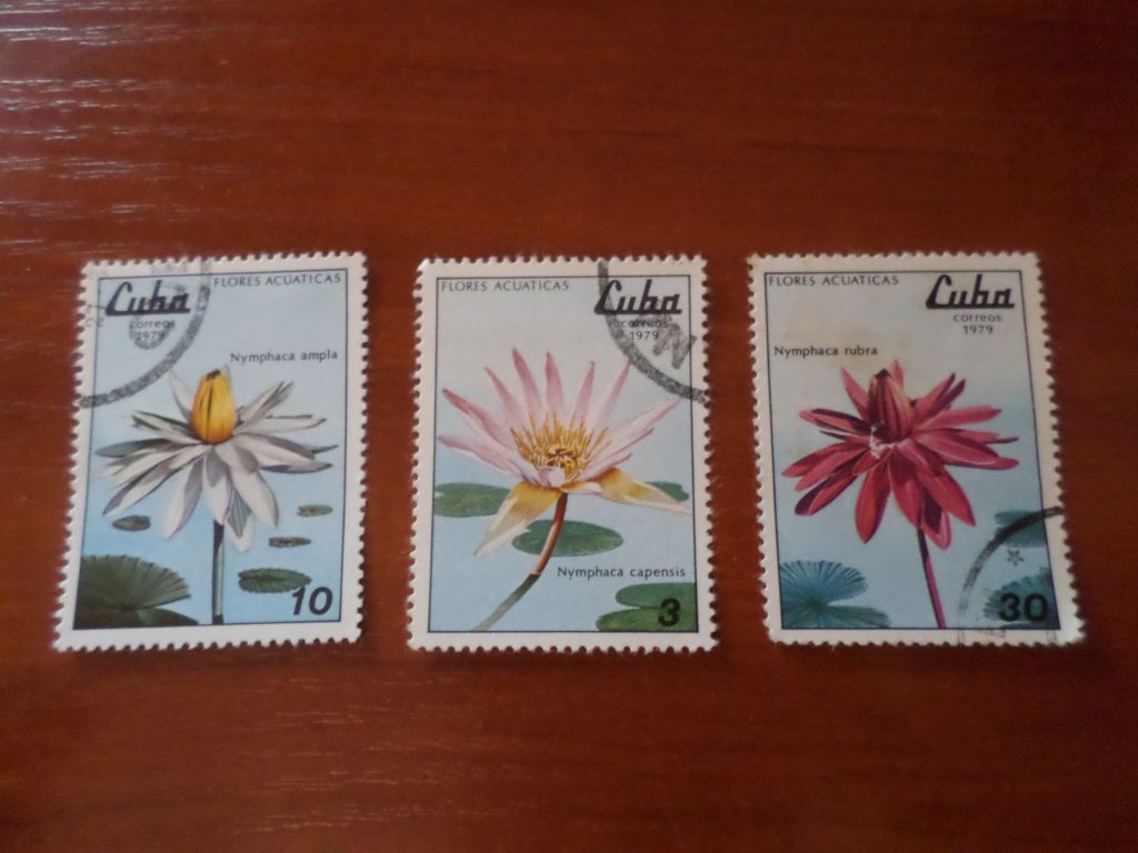 Марки Куба флора Цветы 1979 г гаш - фото фото фото 0