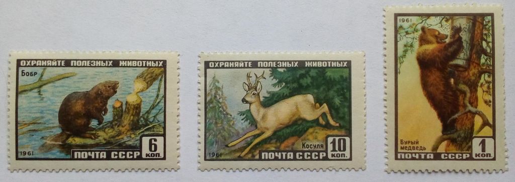 СССР 1961 Охраняйте полезных животных, фауна, MLH - фото фото фото 0