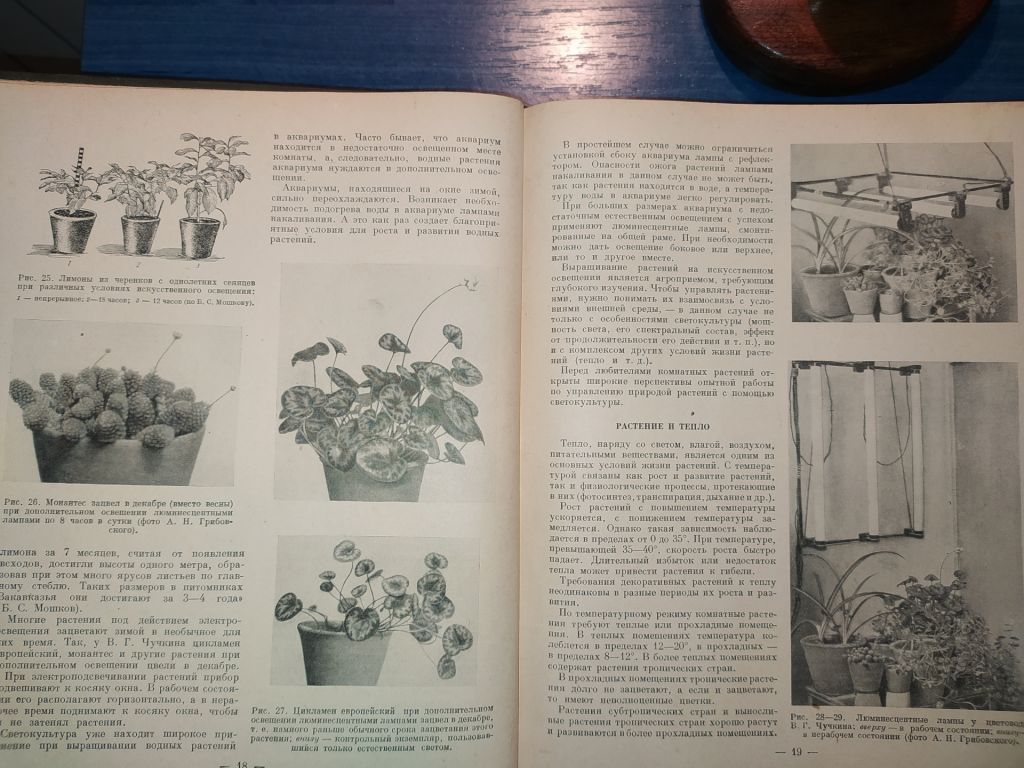 книга: КОМНАТНОЕ САДОВОДСТВО 1956г. - фото фото фото 3