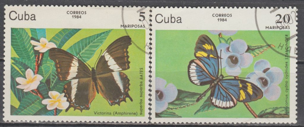 Куба 1984 фауна бабочки - фото фото фото 0