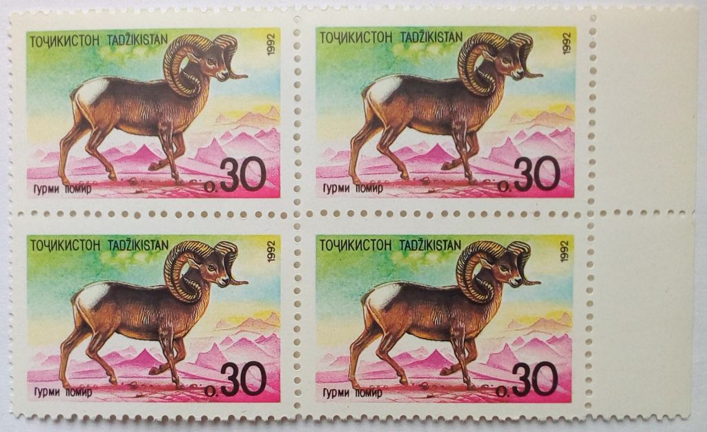 Таджикистан 1992 Баран, фауна, квартблок с полями, MNH - фото фото фото 0