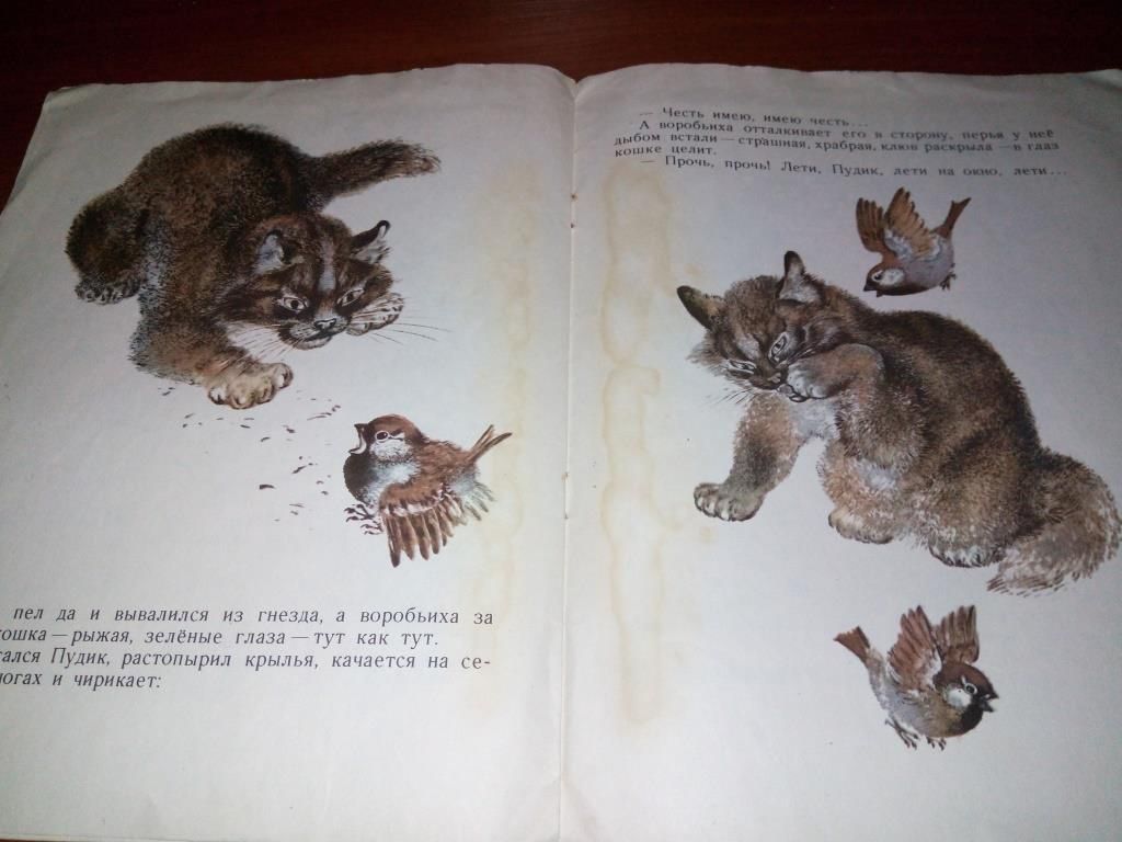 Горький ВОРОБЬИШКО  (Рисунки Е. Чарушина) - фото фото фото 3