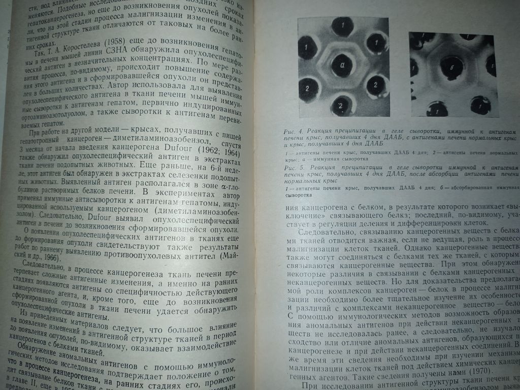 книга: ИММУНОЛОГИЯ КАНЦЕРОГЕНЕЗА 1978г. - фото фото фото 5
