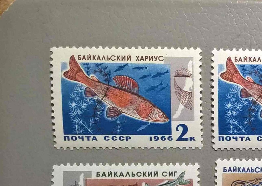 СССР Фауна Рыбы 1966 - фото фото фото 0