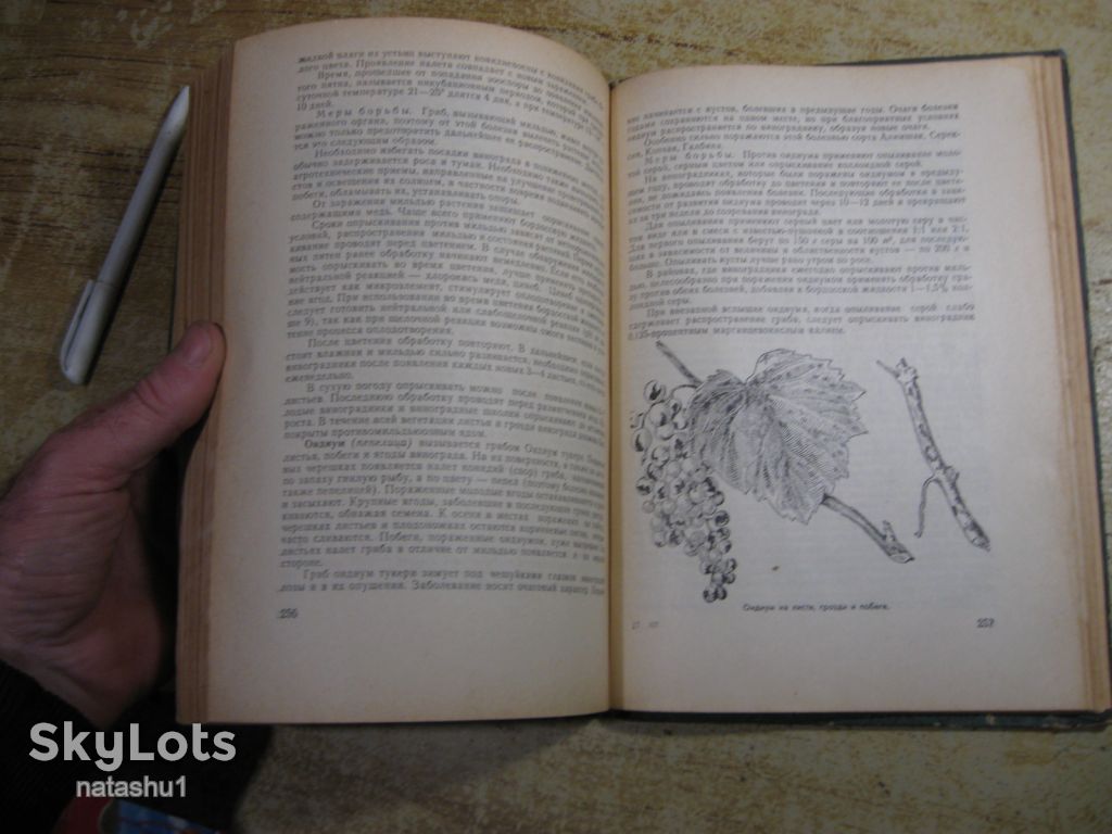 настольная книга виноградаря 1967г - фото фото фото 2