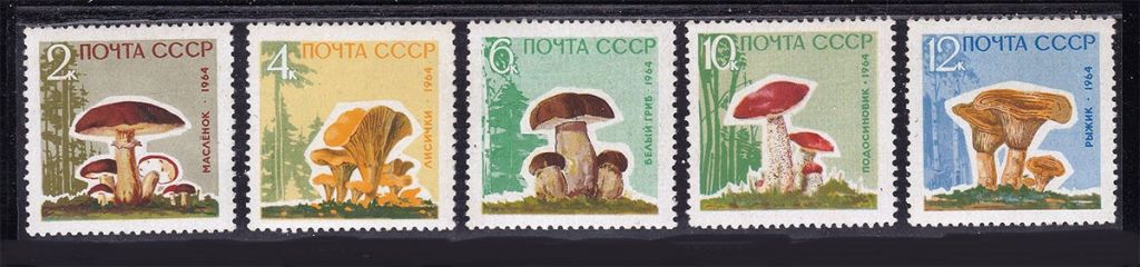 ZM  СССР 1964 г MNH - грибы - фото фото фото 0