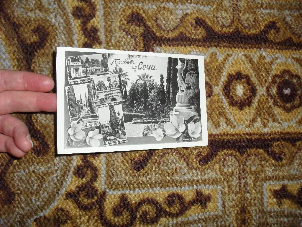 Привет из Сочи 1955г. - фото фото фото 1
