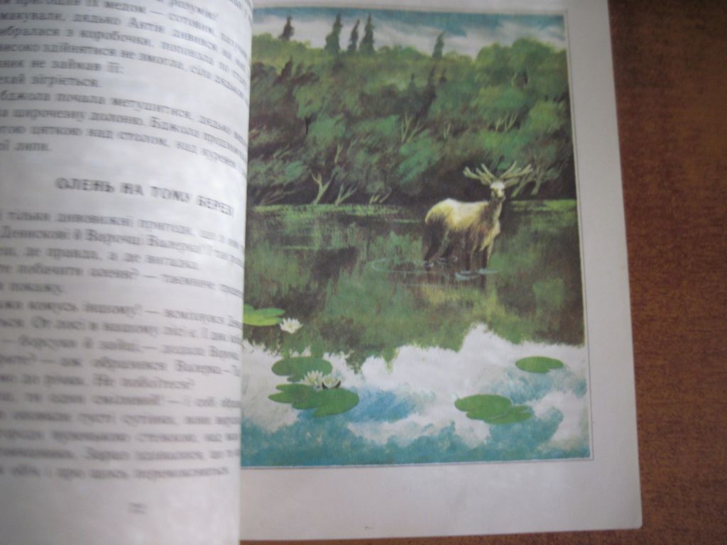 Василь Чухліб. Олень на тому березі. Худ Н Аксьонова. - фото фото фото 6