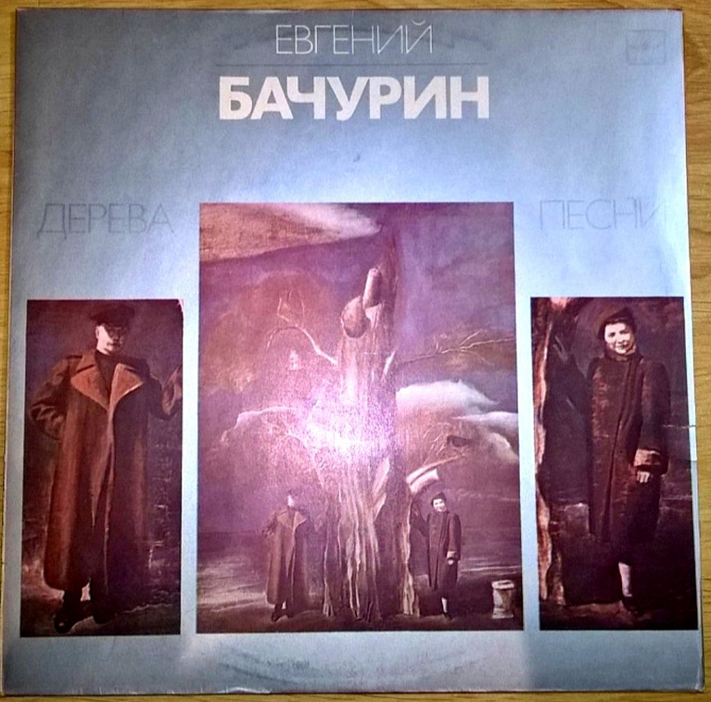 Евгений Бачурин - Дерева - 1982.  (LP). 12. Vinyl. Пластинка - фото фото фото 0