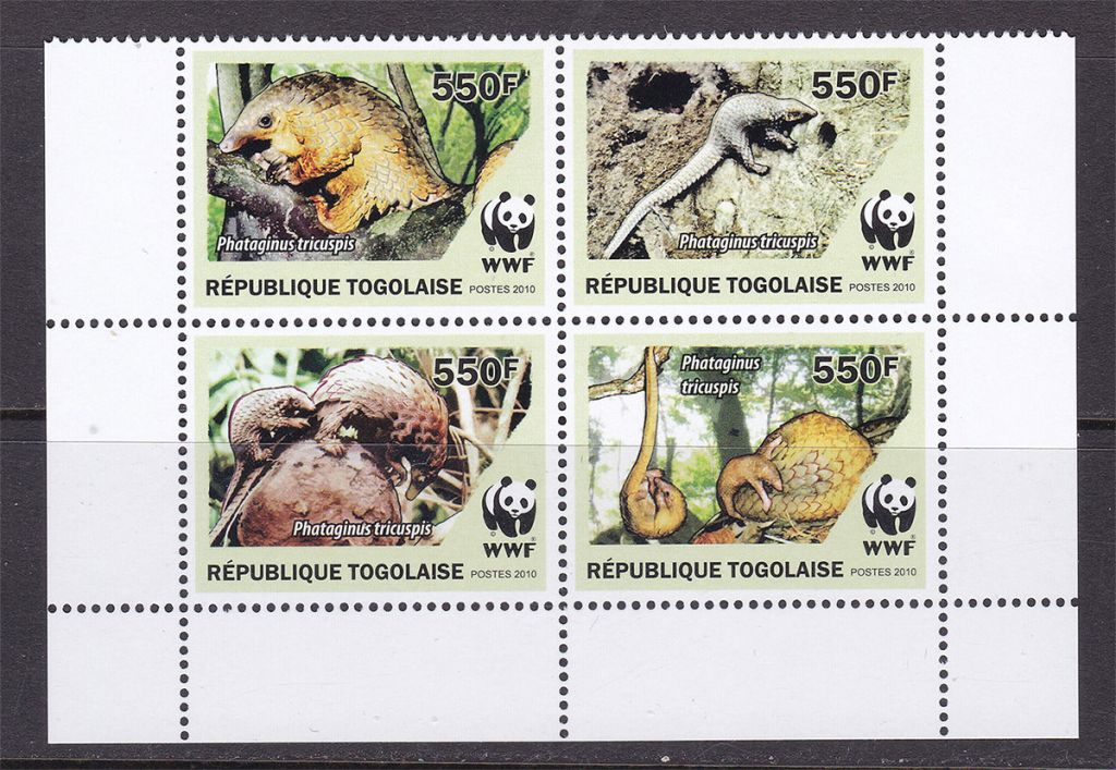 NM Фауна  Того 2010 г MNH - WWF - кварт - ящеры - фото фото фото 0