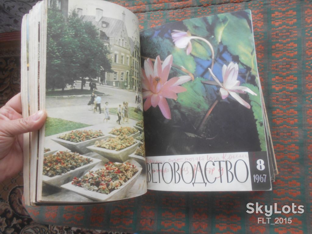 Цветоводство  1967 г.  Годовая - фото фото фото 6
