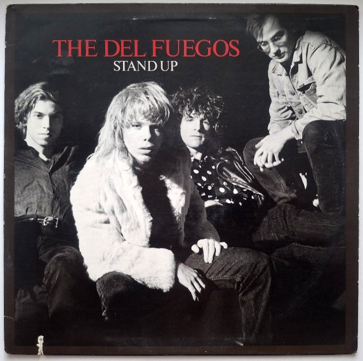 The Del Fuegos - Stand Up - 1987.  (LP). 12. Vinyl. Пластинка. USA. - фото фото фото 0