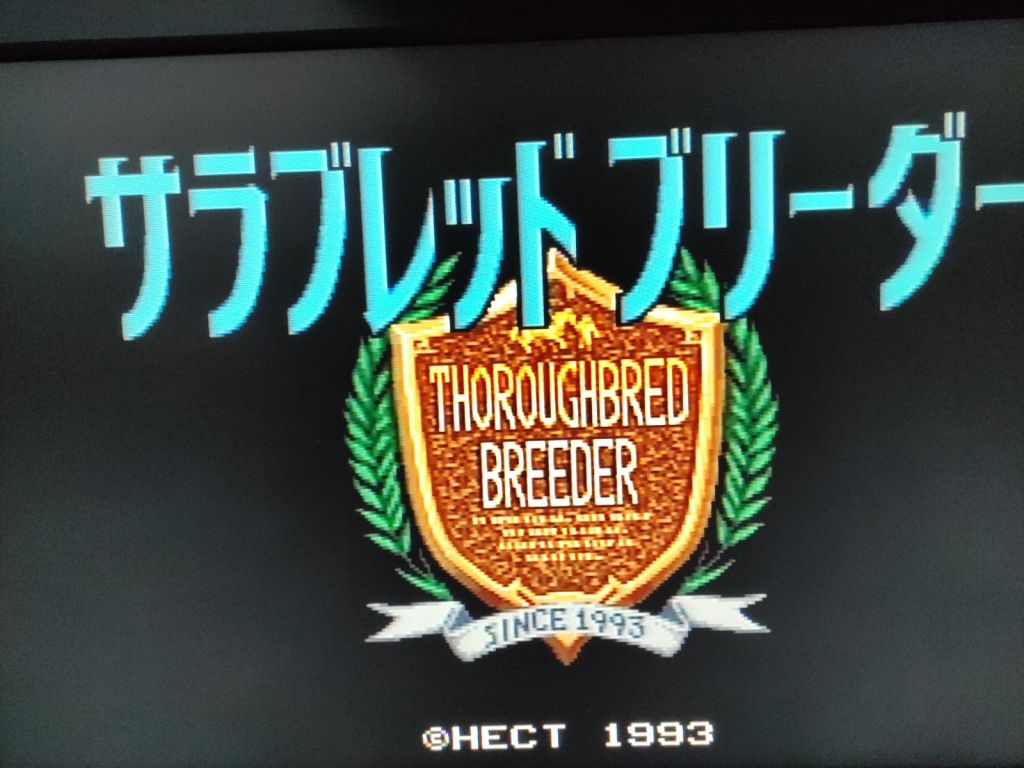 Thoroughbred Breeder SHVC-TF SFC Nintendo Super Famicom без інструкції - фото фото фото 5