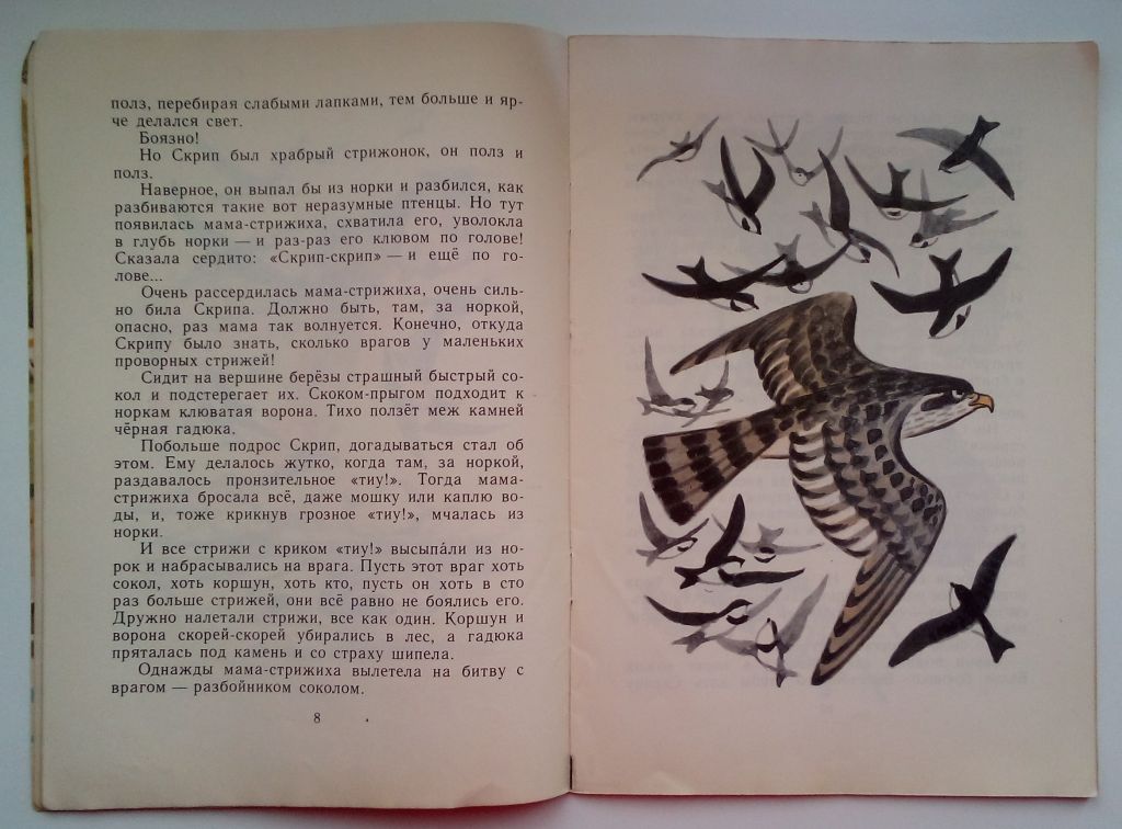 Астафьев В. Стрижонок Скрип. Рассказы. 1982, Рис. В. Симонова - фото фото фото 6