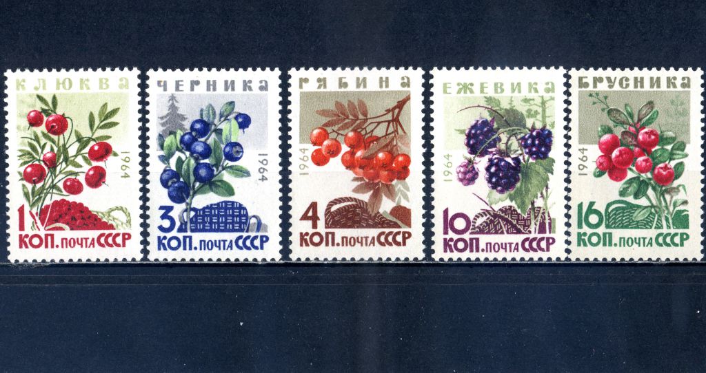 СССР. Ягоды (серия)** 1964 г. - фото фото фото 0