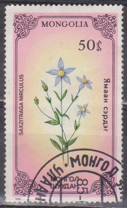 Монголия 1985 флора цветы - фото фото фото 0