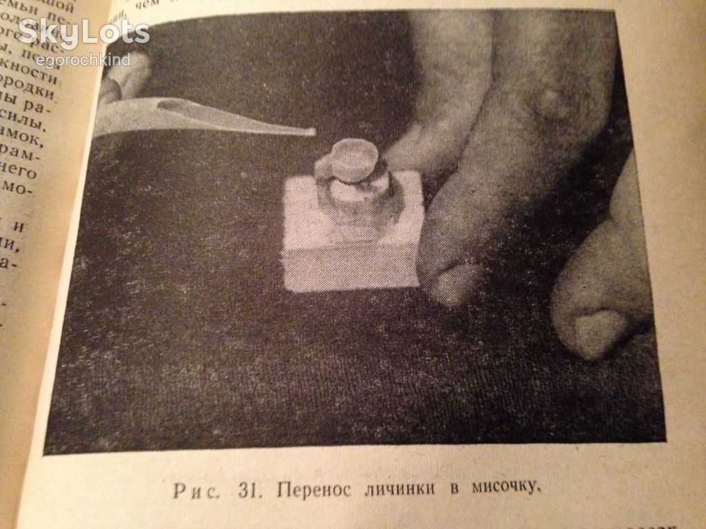 книга: ПЧЕЛА И ЗДОРОВЬЕ ЧЕЛОВЕКА 1962г. - фото фото фото 4