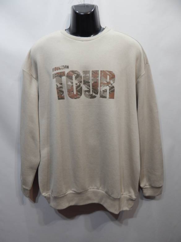 Мужская демисезонная теплая кофта (свитшот) р.52-54 (XL) 067ZMT (только в указанном размере, только  - фото фото фото 0