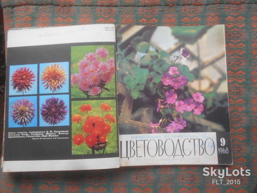 Цветоводство  1968 г.  Годовая - фото фото фото 9