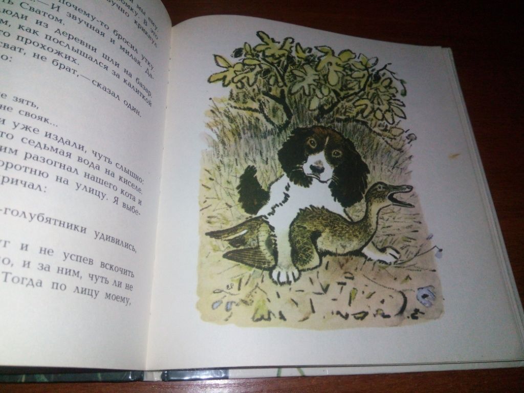 Пришвин БЕРЕСТЯНАЯ ТРУБОЧКА  (Рисунки Е. Рачёва) - фото фото фото 6