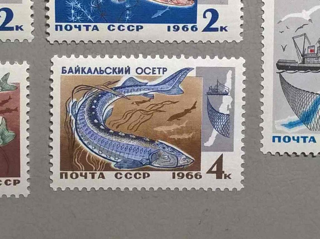 СССР Фауна Рыбы 1966 - фото фото фото 0