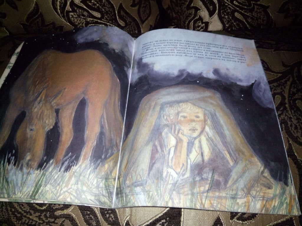 Тургенев И.С. БЕЖИН ЛУГ  (Рисунки Андрея Пахомова) - фото фото фото 8